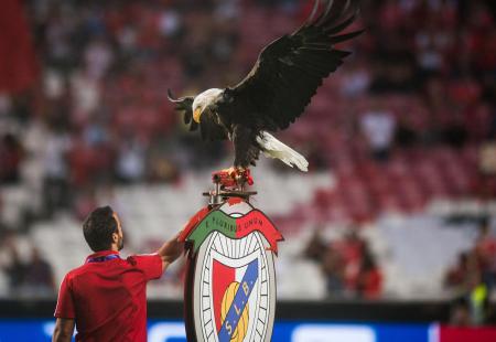 https://storage.bljesak.info/article/390311/450x310/Orao-Benfica.jpg