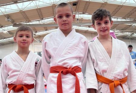 https://storage.bljesak.info/article/403588/450x310/judo-hercegovac.jpg