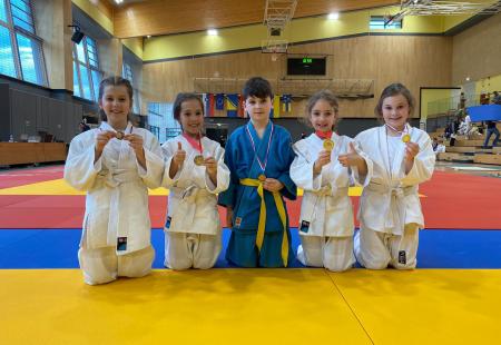 https://storage.bljesak.info/article/412978/450x310/judo-klub-hercegovac.jpg