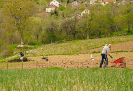 https://storage.bljesak.info/article/420006/450x310/Gorani-Konjic.jpg