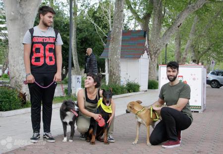 https://storage.bljesak.info/article/422829/450x310/Dogs-Trust-Lenjinovo-Mostar-11.jpg