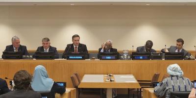 Bećirović-Komšić u UN-u: Usvajanjem rezolucije ukazati na globalnu važnost prevencije genocida