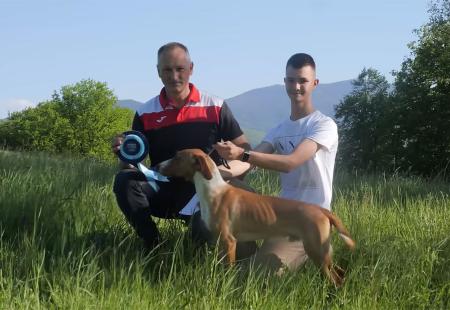 VIDEO Pas iz BiH proglašen najljepšim na svijetu