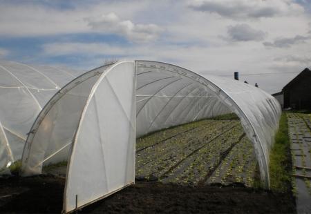 Osamdeset poljoprivrednih proizvođača s područja Ljubuškog dobit će plastenike