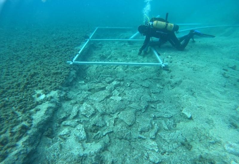 U današnjem podmorju Korčule prije 6900 godina uzgajali su se bademi i masline