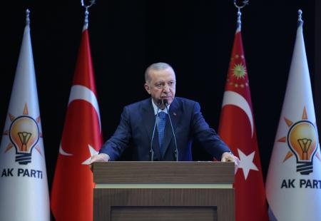 https://storage.bljesak.info/article/462304/450x310/erdogan.jpg