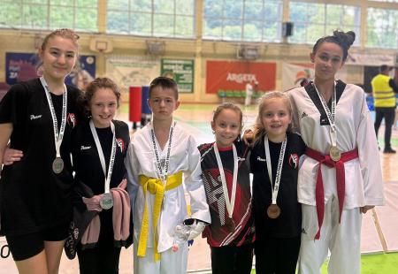 https://storage.bljesak.info/article/468116/450x310/marusic-taekwondo1.jpg