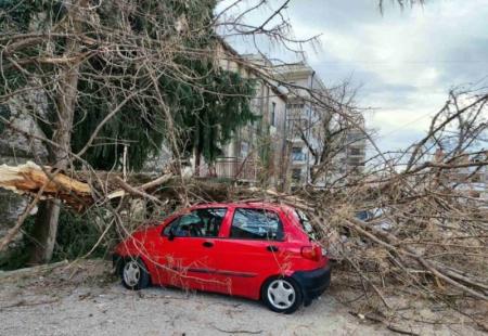 https://storage.bljesak.info/article/477781/450x310/stablo-palo-na-automobil-trebinje.jpg