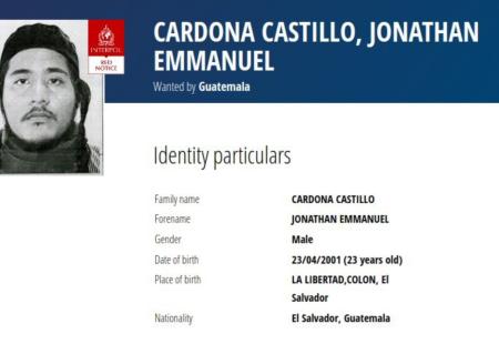 https://storage.bljesak.info/article/478015/450x310/cardona-castillo-interpol.jpg