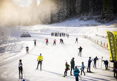 https://storage.bljesak.info/article/478840/450x310/Pokljuka-Slovenija.jpg