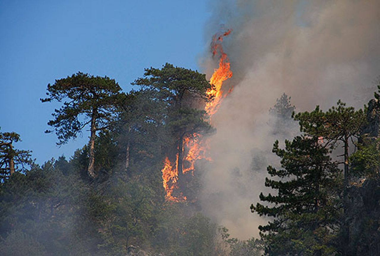 Jablanica: Situacija na požarištima se pogoršava zbog rasta temperatura i vjetra