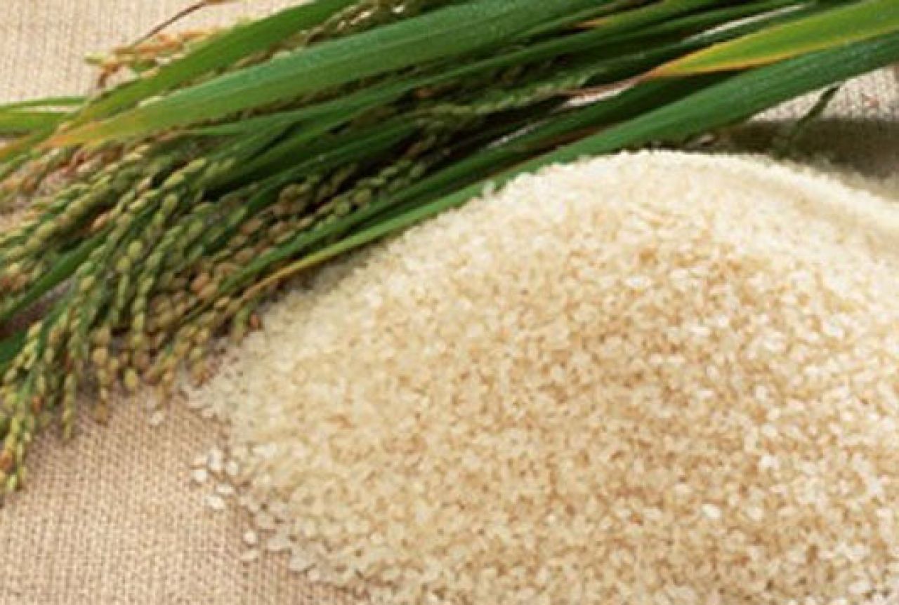 Japanska riža će biti testirana na radioaktivni cezij