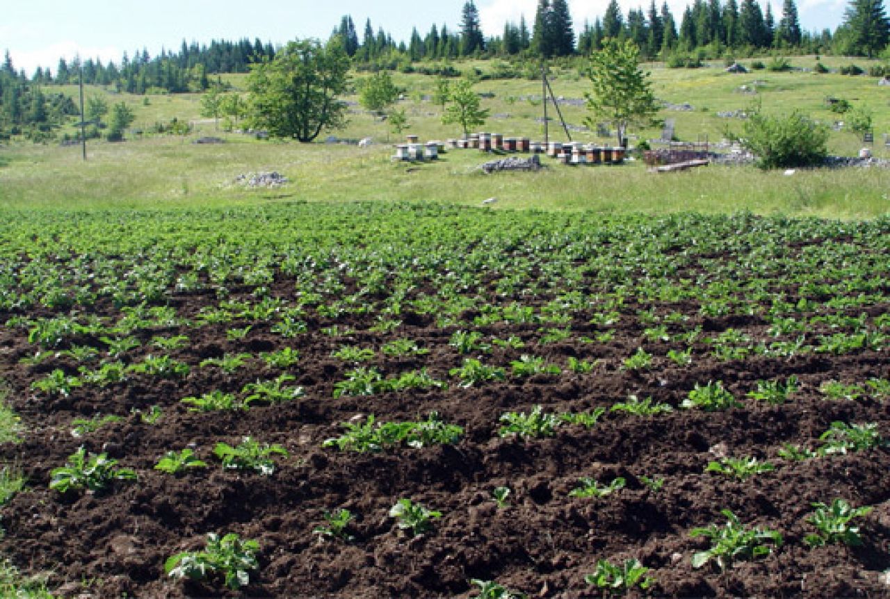 Započinje edukacija 40 poljoprivrednika iz općine Livno