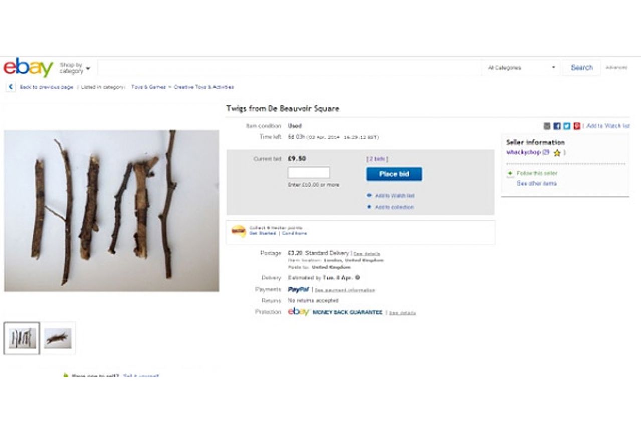 eBay: Na prodaju šest običnih grančica, cijena raste