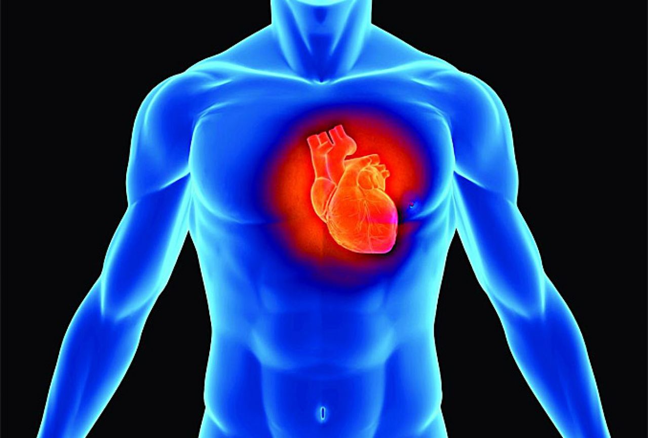 Znanstvenici prave srce od stanica masnog tkiva