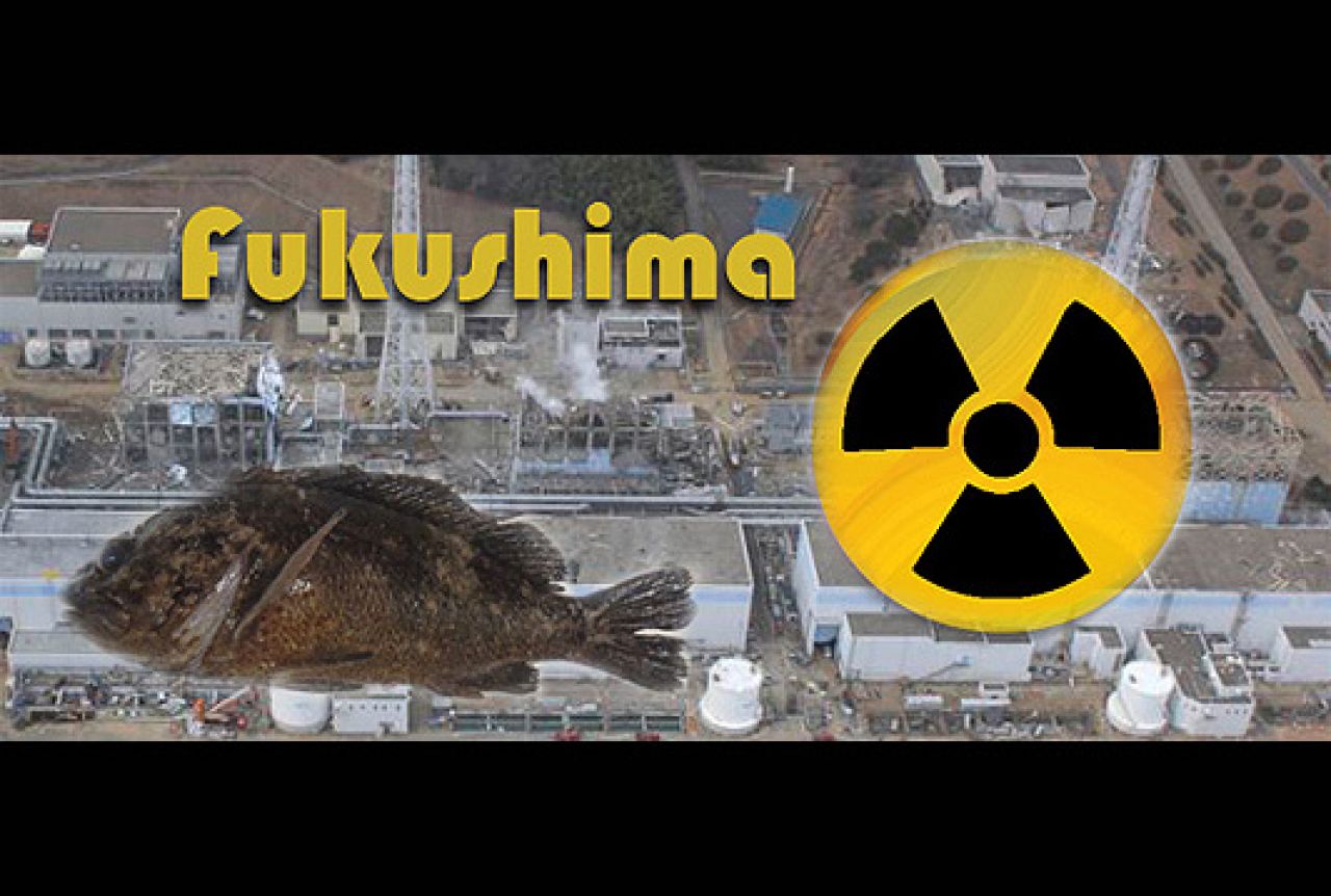 Kod Fukushime upecana riba s neviđeno velikom razinom radiokitvosti