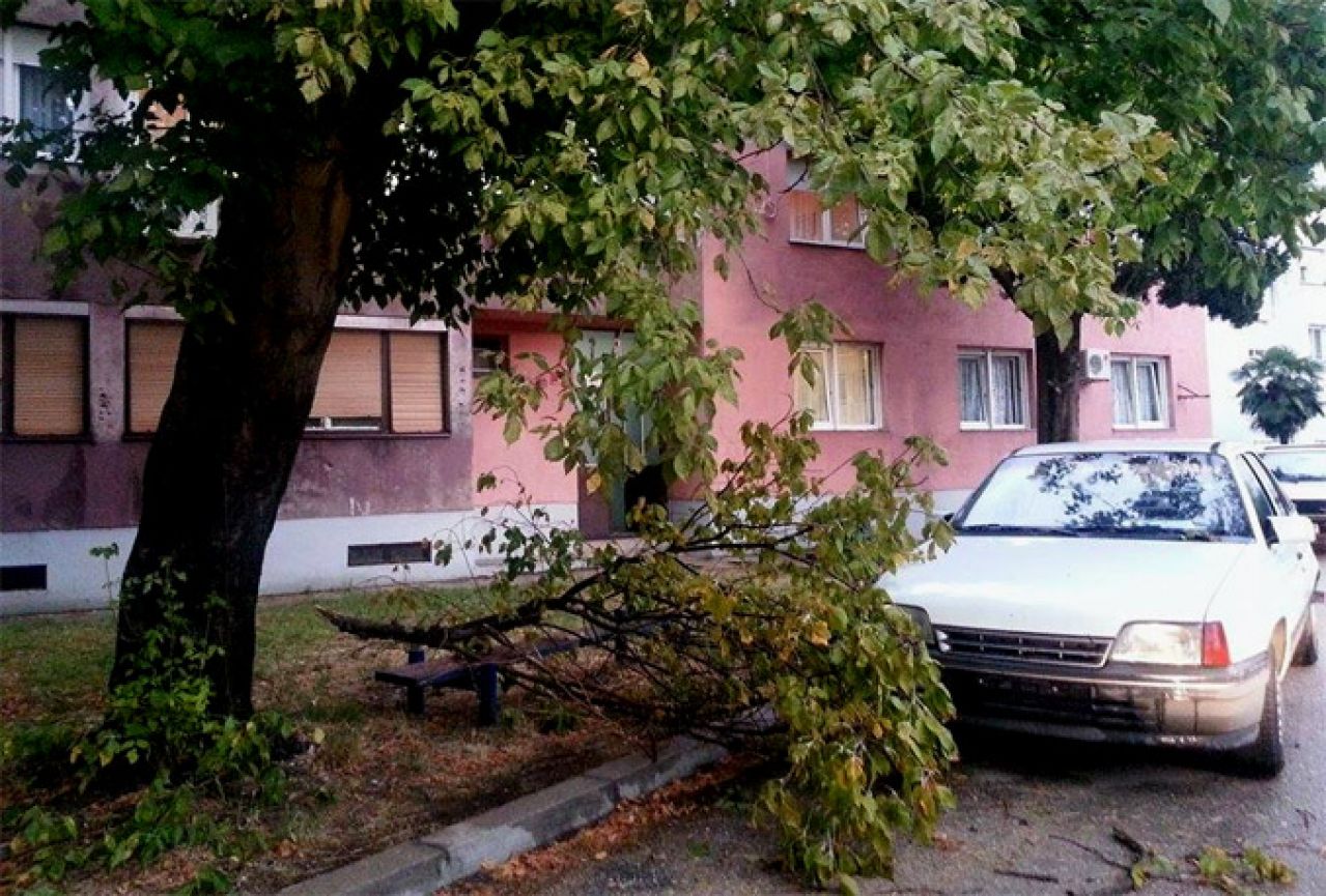 Olujni vjetar u Mostaru lomio drveće koje je padalo po automobilima