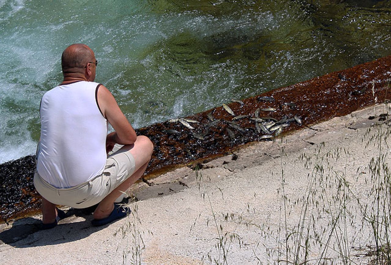 Rijeka Lištica obogaćena sa 600 kilograma potočne pastrmke