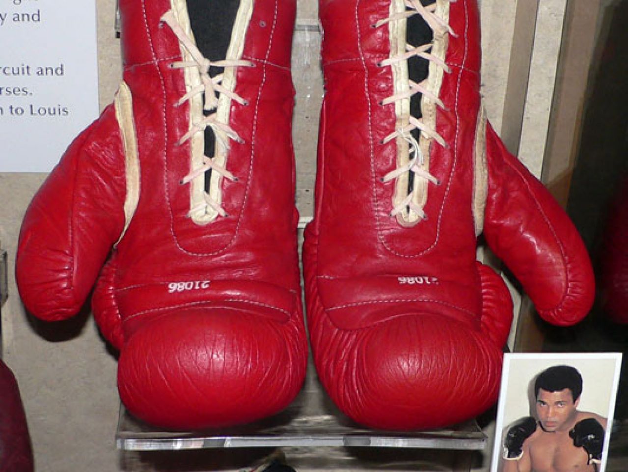 Rukavice Muhammada Alija prodane za 400 000 dolara