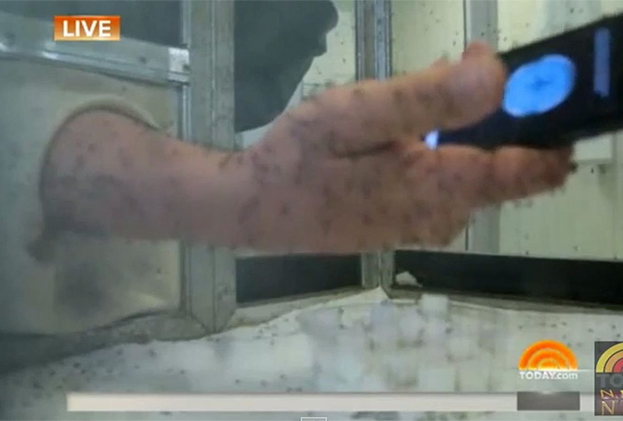 Istraživačko novinarstvo: Gurnuo ruku među komarace kako bi testirao aplikaciju 