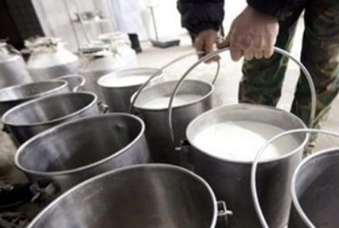 Propao plan BiH za izvoz mlijeka 