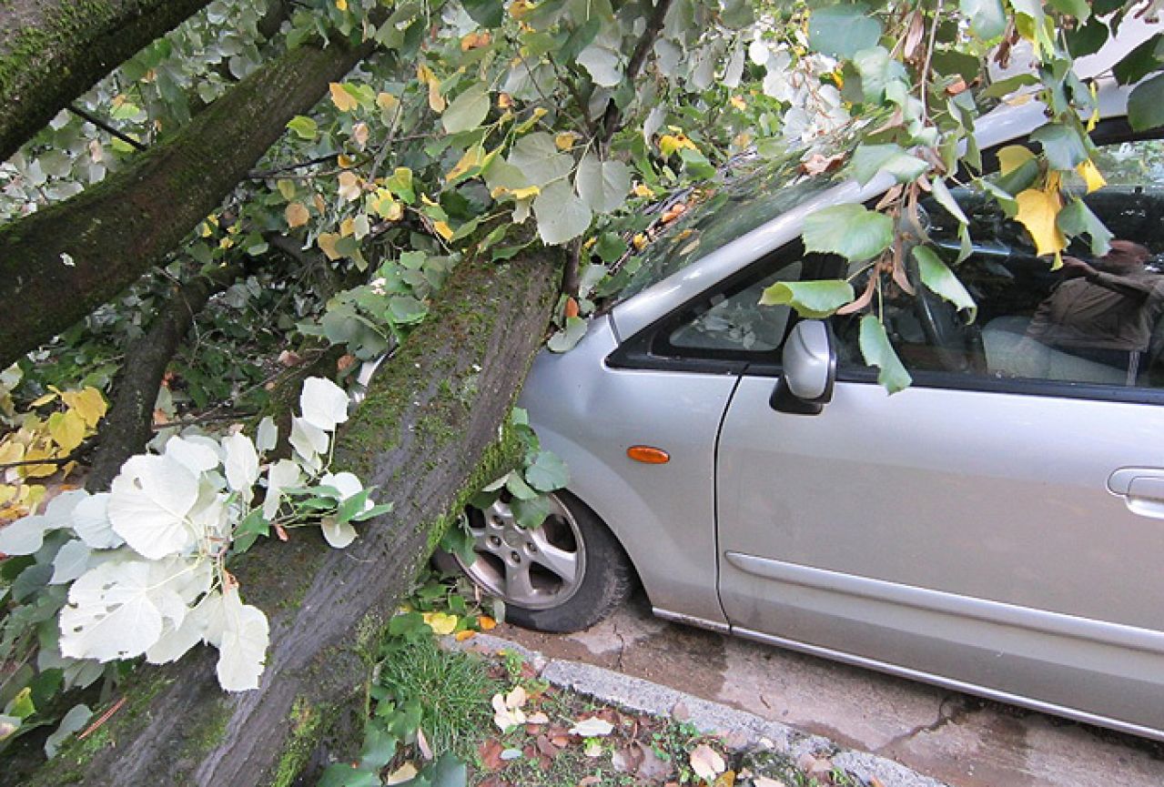 Stablo uništilo parkirano vozilo
