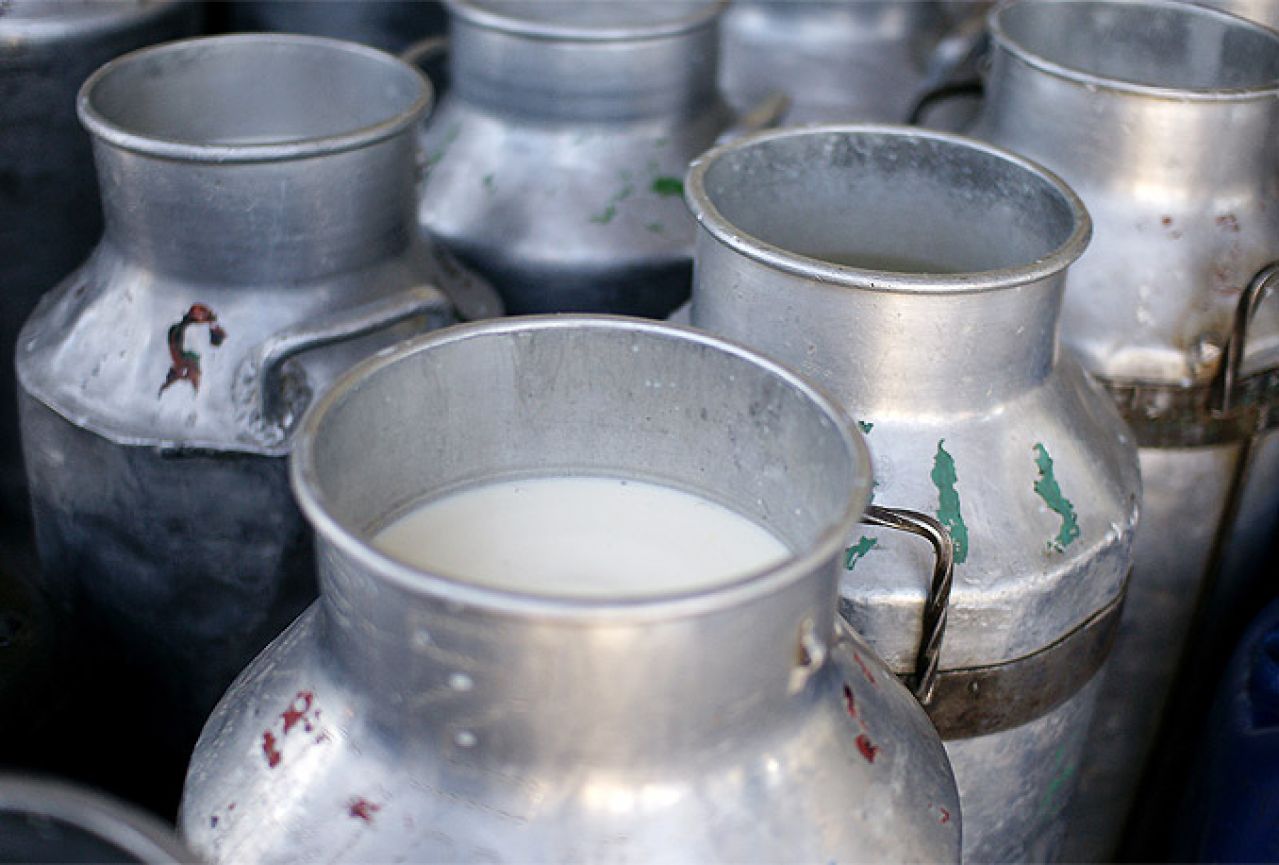 Izvoz na EU tržište najveći problem proizviđača mlijeka u BiH