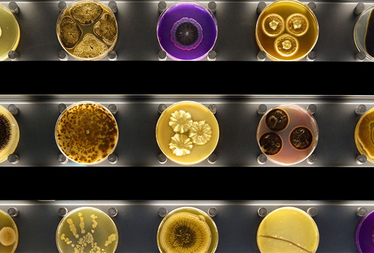 Prvi u svijetu: Otvoren zoološki vrt mikroba