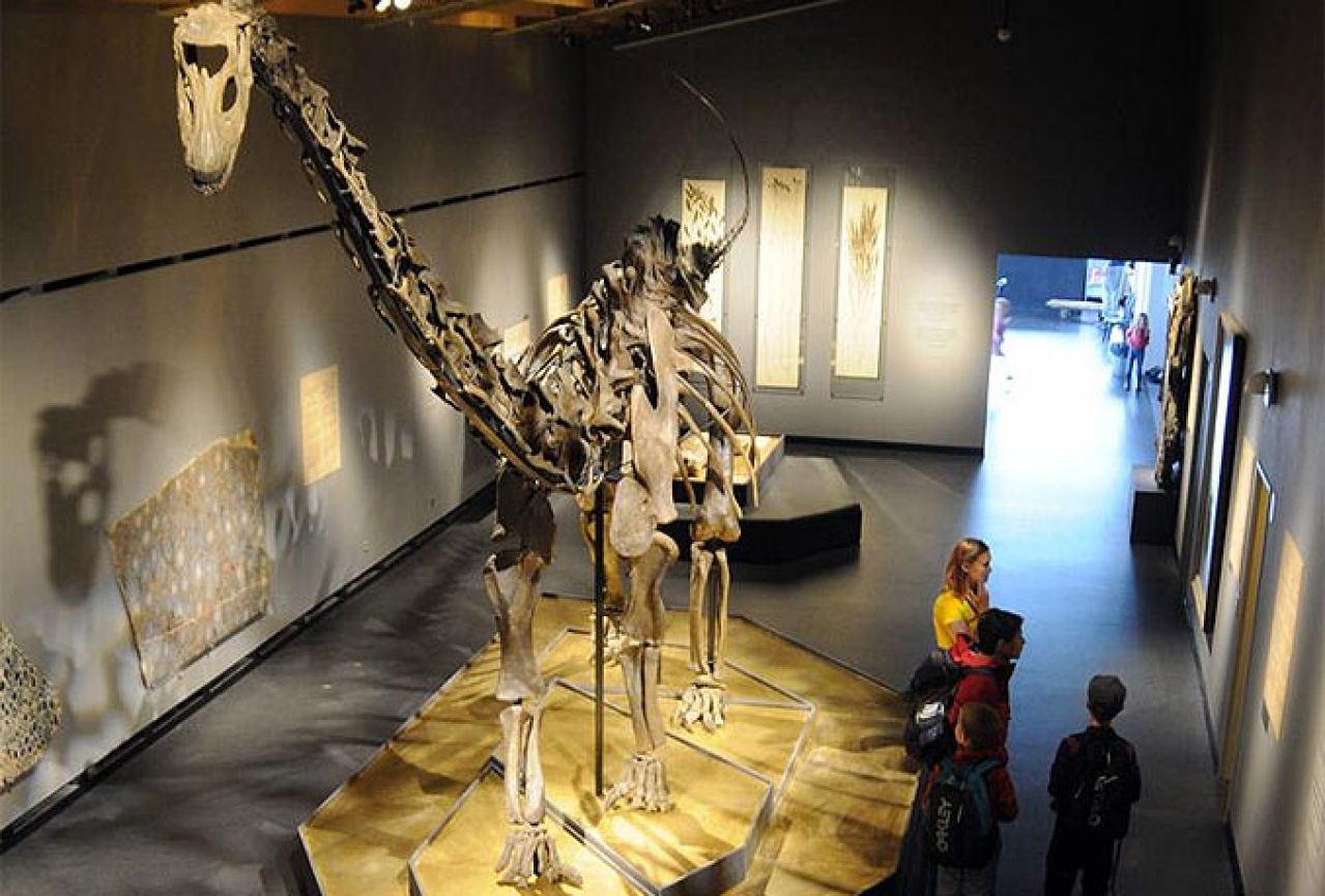 Izložen kostur dinosaurusa star 150 milijuna godina 