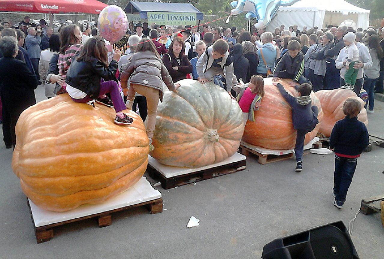 Bundeva u Tovarniku teži 630 kilograma