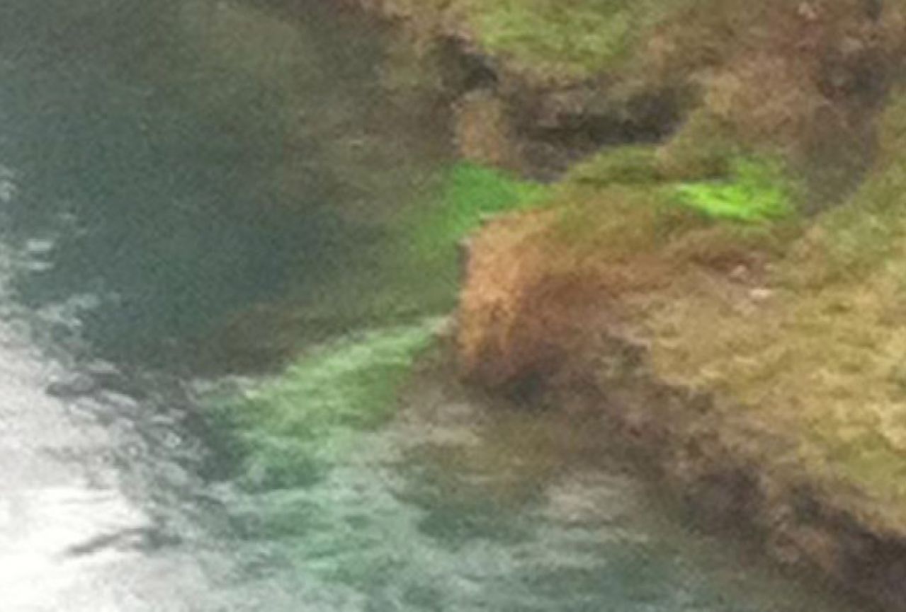Fluorescentna zelena tekućina u Neretvi