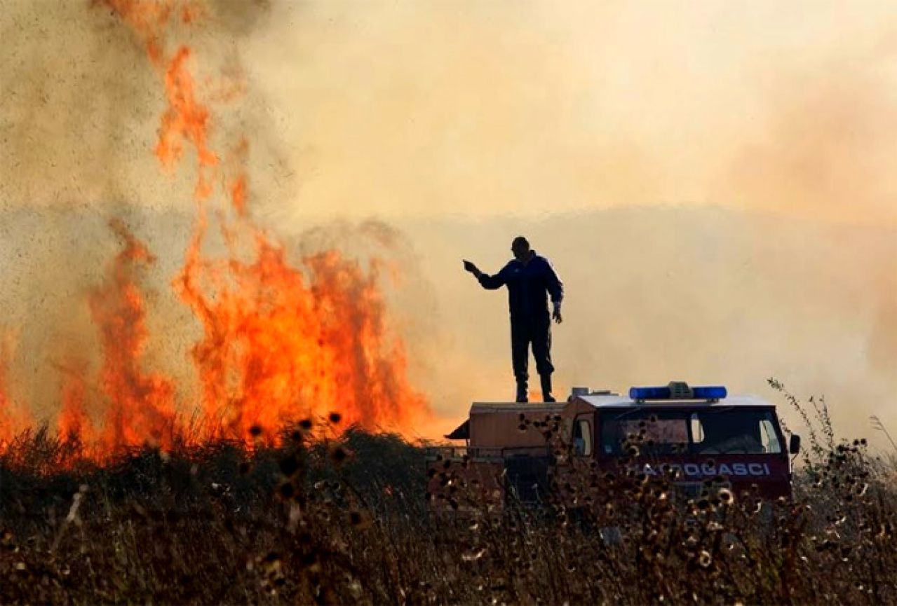 Uspješno lokaliziran požar koji je zaprijetio vinogradima i voćnjacima u Čapljini