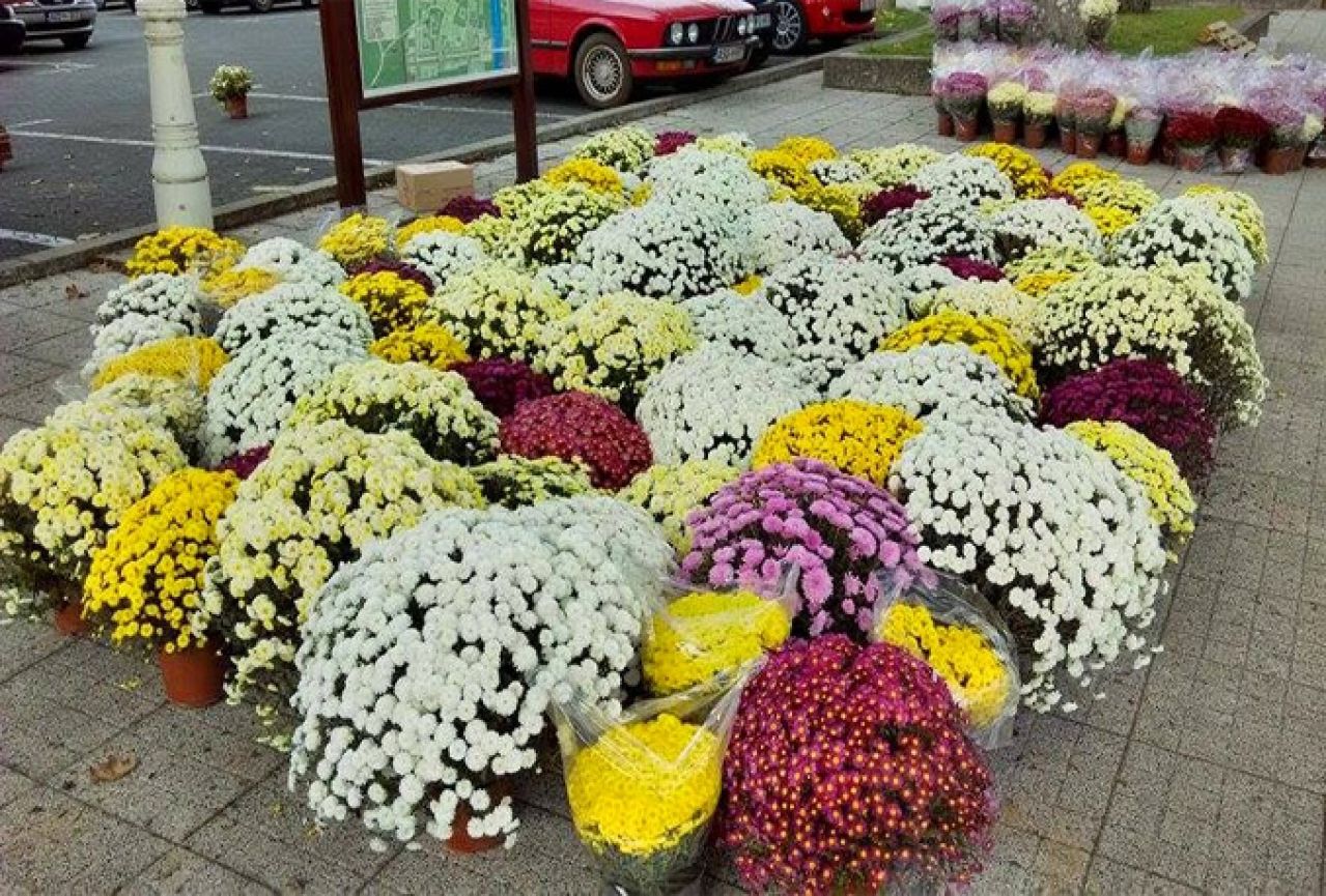 Cijene cvijeća i svijeća za blagdan Svih svetih i Dušni dan u Čapljini kao i dosadašnjih godina