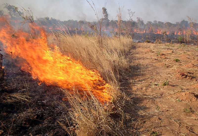 Tragedija u Konjicu: Čistila parcelu, zapalila vatru i preminula od opeklina