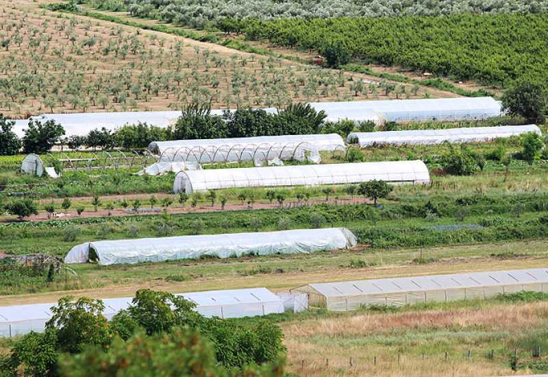 Bljesak.info - BiH i Italija će surađivati u poljoprivredi