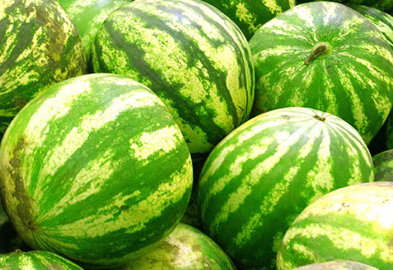  - Uvozna lubenica oborila cijenu domaće u Hercegovini