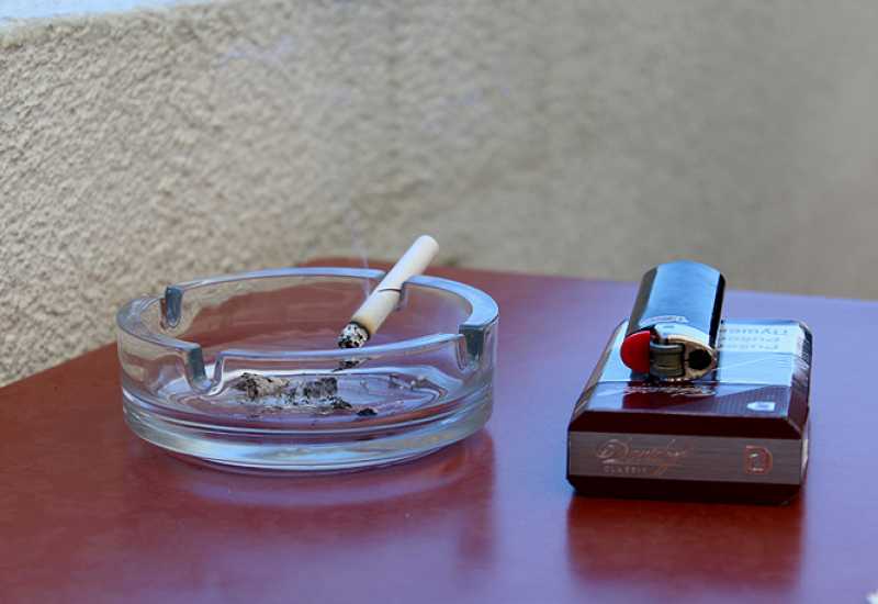 Ramić-Čatak: Zakonom smanjiti postotak pušenja među školskom djecom i mladima