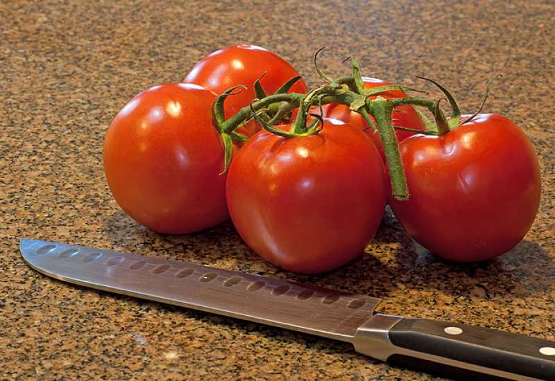  - Mogućnosti razvoja proizvodnje rajčice u Hercegovini