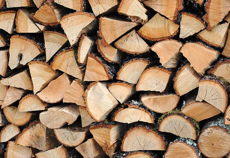 Sve manje građana odlučuje se na kupnju drva za ogrjev