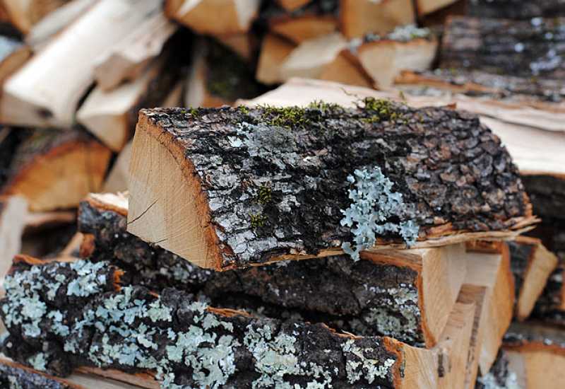 Odluka o zabrani izvoza drveta i peleta proizvest će probleme