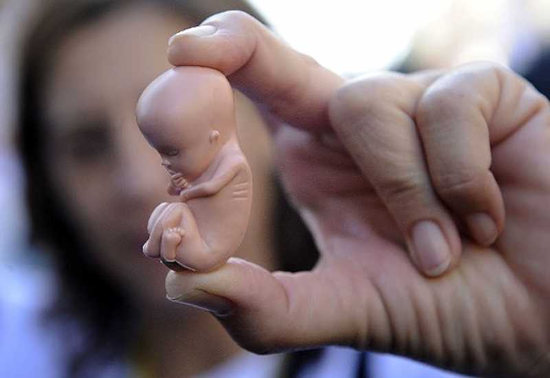  - Legalizirat će se abortus u prvih 12 sedmica trudnoće