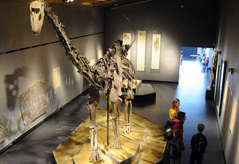 Stjenice su preživjele izumiranje dinosaura