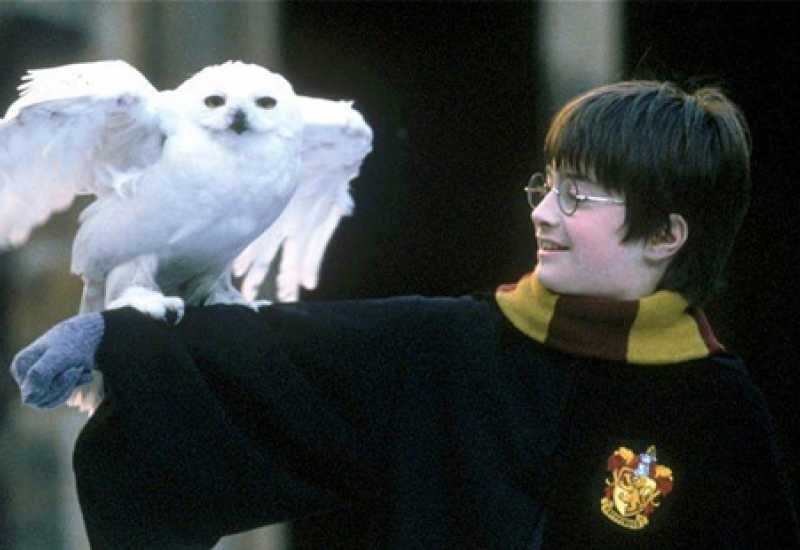 Nakon 20 godina ponovno se okuplja ekipa filma Harry Potter