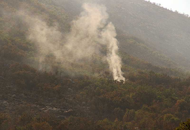Lokaliziran požar kod Ljubinja; vatra oštetila elektromrežu
