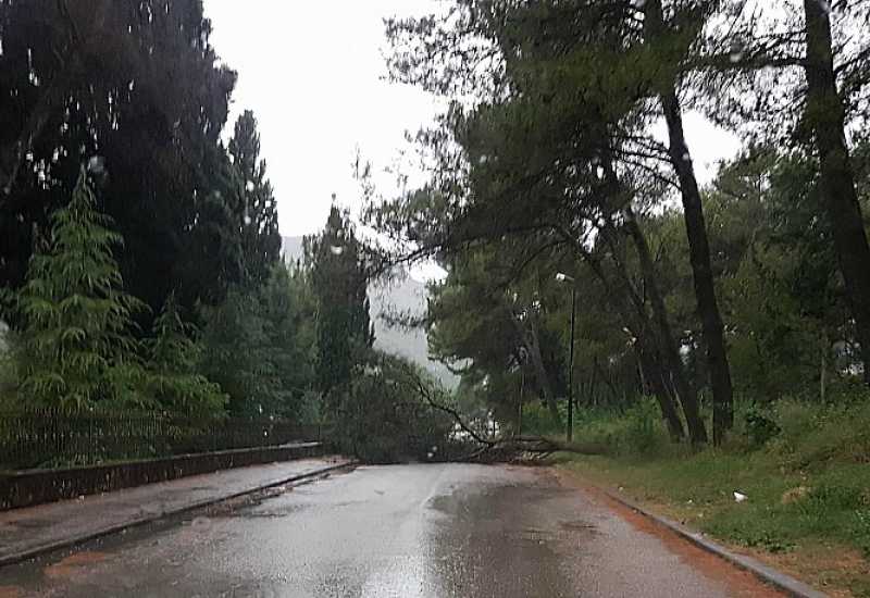 Snimio čitatelj - Hercegovini izdano upozorenje: Jaki udari vjetra i obilna kiša