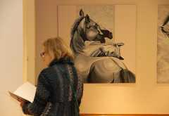 Mostar: Divlji konji stigli u Galeriju Aluminij