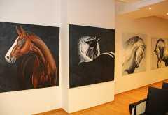 Mostar: Divlji konji stigli u Galeriju Aluminij