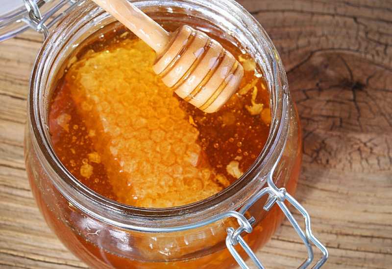 Otvoreni 'Jablanički dani zdrave hrane, ljekobilja i pčelarstva'