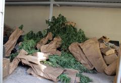 Mostar| Poznati detalji policijske akcije u kojoj je zaplijenjena veća količina marihuane