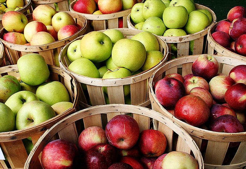 Jabuke iz Popovog polja stigle do Nizozemske i Rusije